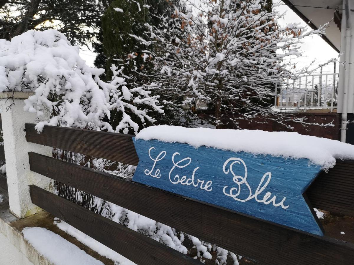 מלון Saint-Michel-sur-Meurthe Le Cedre Bleu מראה חיצוני תמונה